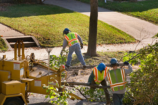 Best Landscape Design and Installation  in Fort Dick, CA